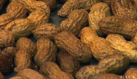 peanuts